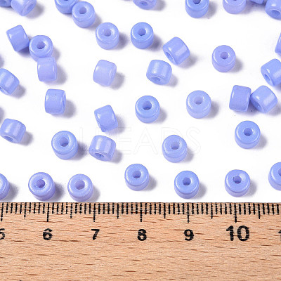 Opaque Baking Paint Glass Seed Beads SEED-T008-02R-1
