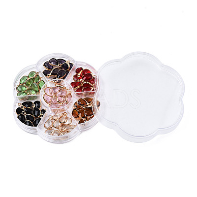 K9 Glass Charms GLAA-N038-21-1