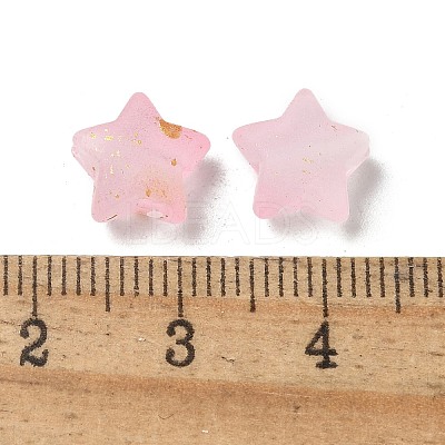 Frosted Acrylic Charms OACR-M023-04J-1