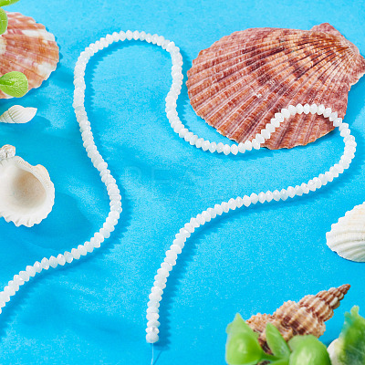1 Strand Natural Trochus Shell Rondelle Beads Strands SSHEL-TA0001-16A-1