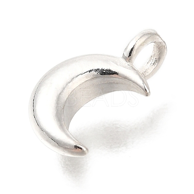 925 Sterling Silver Charms STER-G043-05B-S-1