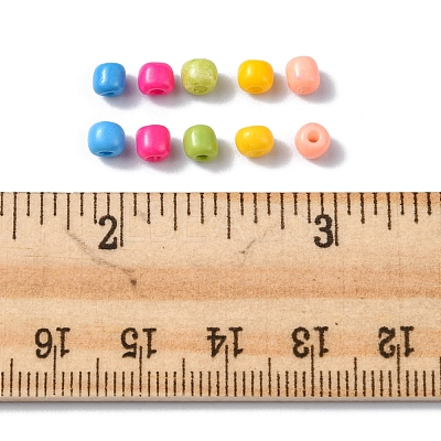 55G 6/0 Baking Paint Glass Seed Beads SEED-FS0001-01-1