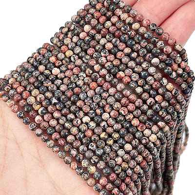 Natural Leopard Skin Jasper Beads Strands G-M438-A02-01-1