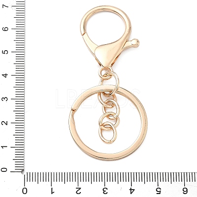 Alloy Keychain Clasps X-FIND-C084-10KCG-1