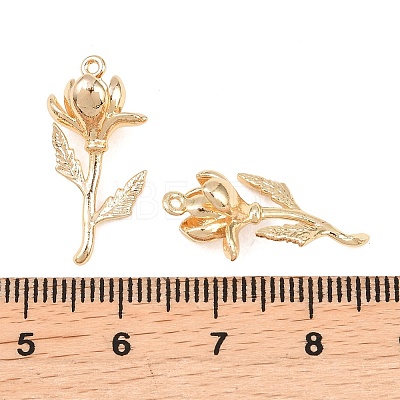 Brass Pendants KK-A288-01G-02-1