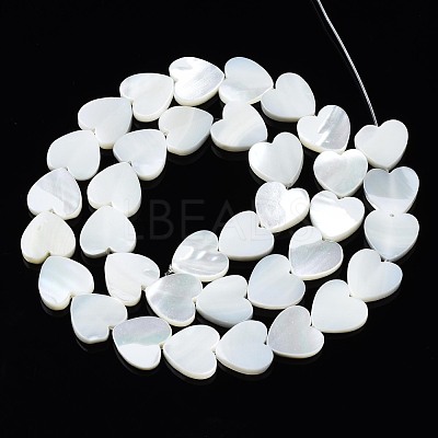Natural Trochid Shell/Trochus Shell Beads Strands X-SSHEL-N034-99A-B01-1