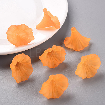 Transparent Acrylic Beads BSF796-C19-1