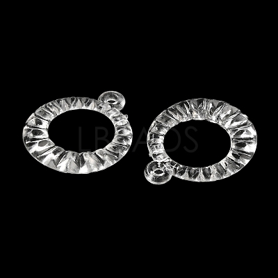 Transparent Acrylic Pendants TACR-G048-19-1