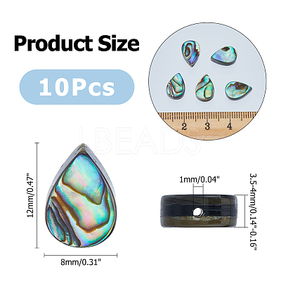 10Pcs Abalone Shell/Paua Shell Beads SSHEL-FI0001-01-1