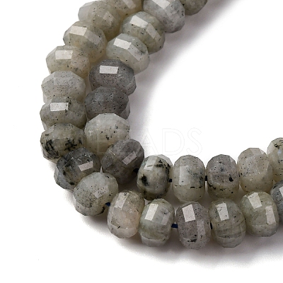 Natural Labradorite Beads Strands G-P587-D13-02-1