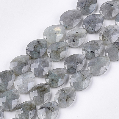 Natural Labradorite Beads Strands G-S354-07-1