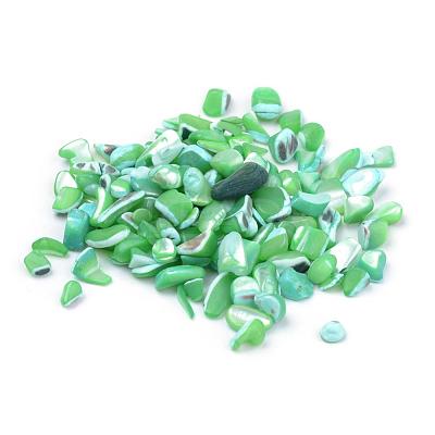 Natural Sea Shell Beads SSHEL-Q299-017D-1