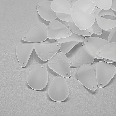 Transparent Acrylic Pendants FACR-S027-SB518-1