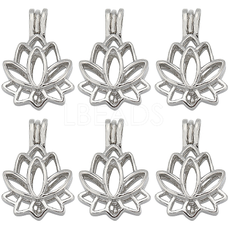 SUNNYCLUE 10Pcs Alloy Diffuser Locket Pendants FIND-SC0008-35-1