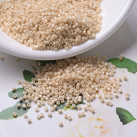MIYUKI Delica Beads SEED-MY11-DB0205-1
