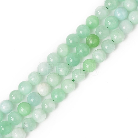 Natural Glass Beads Strands G-C004-01A-1