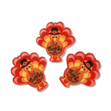 Thanksgiving Day Translucent Resin Pendants X-RESI-K019-10B-1