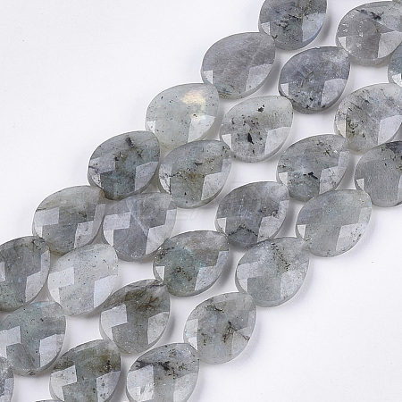 Natural Labradorite Beads Strands G-S354-07-1