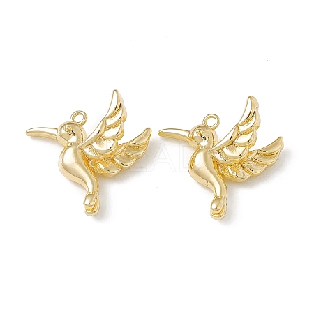 Brass Pendants X-KK-K271-06G-1