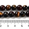 Natural Tiger Eye Beads Strands X-G-G448-8mm-21AB-3