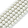 Eco-Friendly Dyed Glass Pearl Round Beads Strands HY-A002-10mm-RB009-1