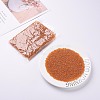 Glass Seed Beads X1-SEED-A006-3mm-109-5