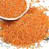 Electroplate Glass Seed Beads SEED-H003-10B-1