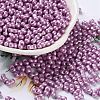 Glass Seed Beads SEED-L011-04A-03-1