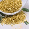 MIYUKI Delica Beads X-SEED-J020-DB0033-1