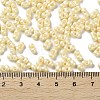 Glass Seed Beads SEED-L011-04A-09-4