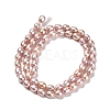 Natural Cultured Freshwater Pearl Beads Strands PEAR-E016-165-2