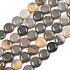 Natural Picasso Jasper Beads Strands G-L648-B03-15mm-3