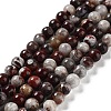Natural Mexican Red Laguna Lace Agate Round Beads Strands G-NH0005-A31-01-1