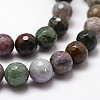 Natural Indian Agate Beads Strands G-G736-31-10mm-3