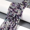 Natural Fluorite Beads Strands X-G-A252-A01-01-2