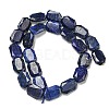 Natural Lapis Lazuli Beads Strands G-P544-B10-01-3