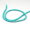 Natural Magnesite Beads Strands TURQ-P027-69-4mm-3