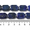 Natural Lapis Lazuli Beads Strands G-P544-B10-01-5