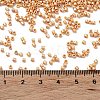 Baking Paint Glass Seed Beads SEED-S042-15B-26-4