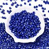 Baking Paint Pearlized Glass Seed Beads SEED-T008-03S-2