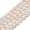 Natural Cultured Freshwater Pearl Beads Strands PEAR-N012-03B-3