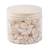 Natural Cowrie Shell Beads BSHE-CJ0002-01-7