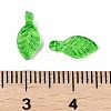 Transparent Acrylic Charms TACR-F009-11E-3