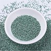 MIYUKI Delica Beads X-SEED-J020-DB0416-2