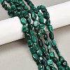 Natural Malachite Beads Strands G-L493-42A-2