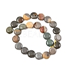 Natural Picasso Jasper Beads Strands G-L648-B03-15mm-4