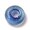 Glass European Beads GLAA-XCP0001-40D-2