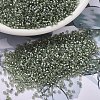 MIYUKI Delica Beads X-SEED-J020-DB2378-1