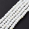 Electroplate Opaque Solid Color Glass Beads Strands EGLA-A034-P1mm-L17-2
