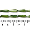 Natural Freshwater Shell Beads Strands SHEL-A004-03B-4